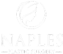 nps-logo-white
