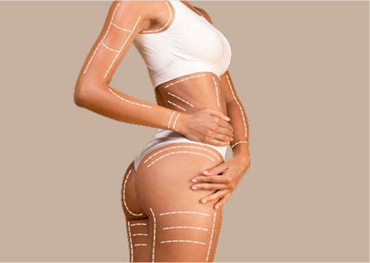 Sculpt Your Body
